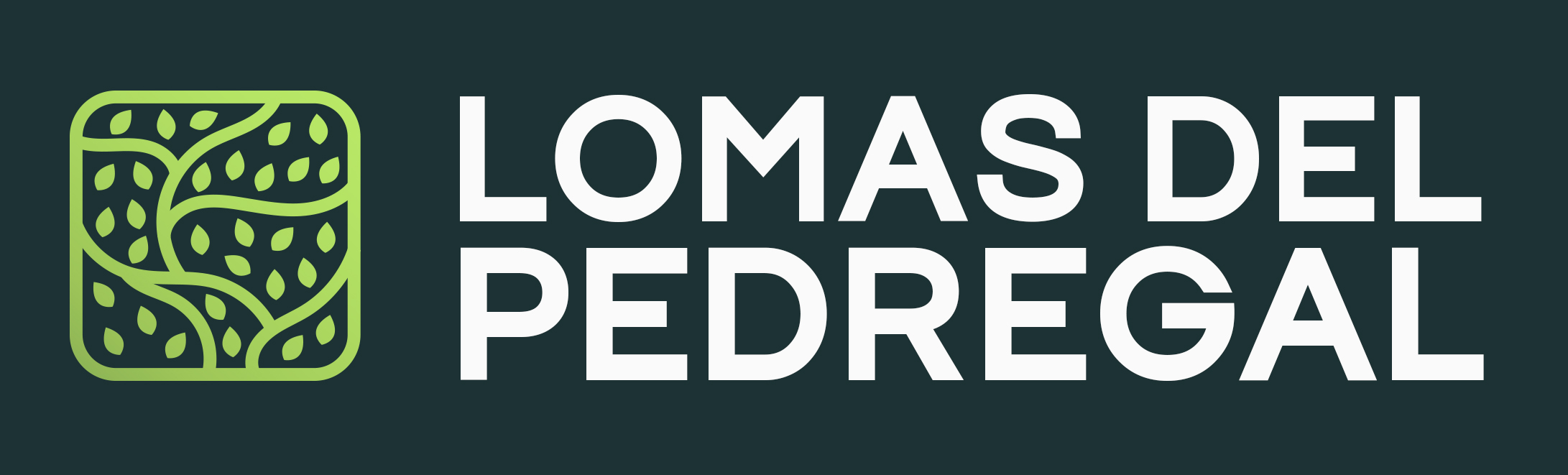 Lomas del Pedregal